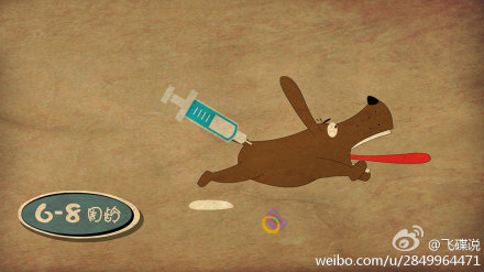 飞碟说57如何呵护汪星人