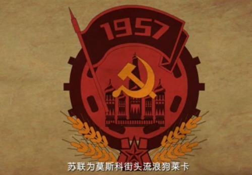 飞碟说如何呵护汪星人