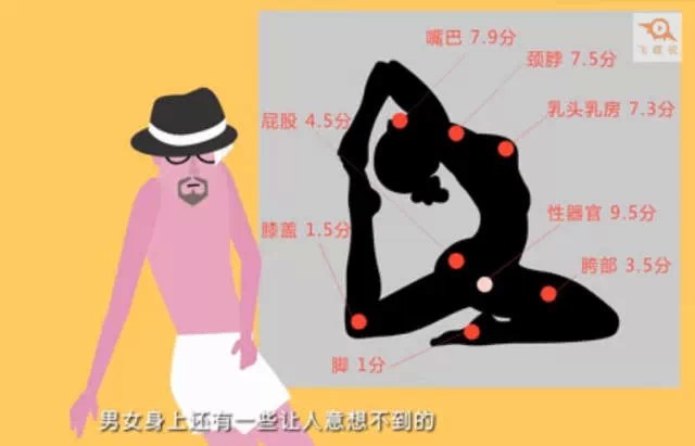 人体性敏感地图